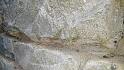 acastle
                          104510.jpg